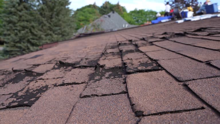 Best Cold Roofs  in Edison, GA